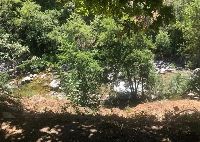 Avec Balcon à Louer 3*