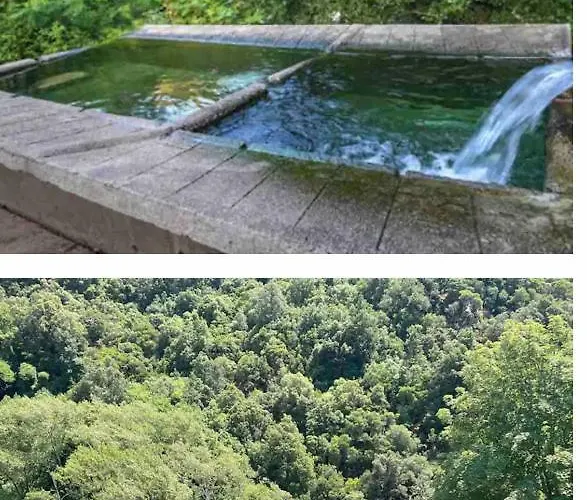 Avec Balcon à Louer 3*